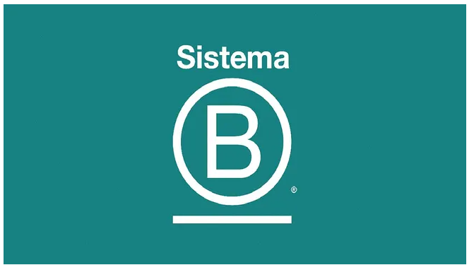 Lee más sobre el artículo Empresa B, la tendencia mundial que crece en Argentina: ¿Cuáles son los requisitos?