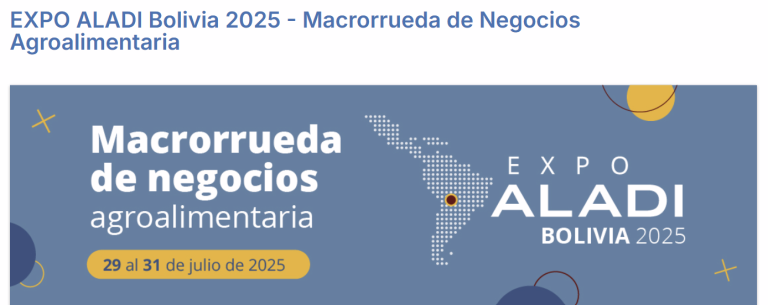 Lee más sobre el artículo 